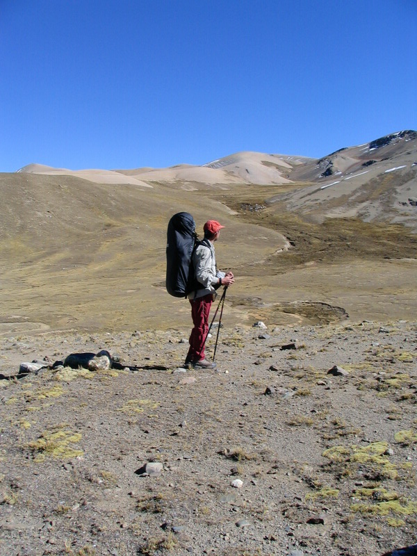 Bolivia - pampa en Los Andes