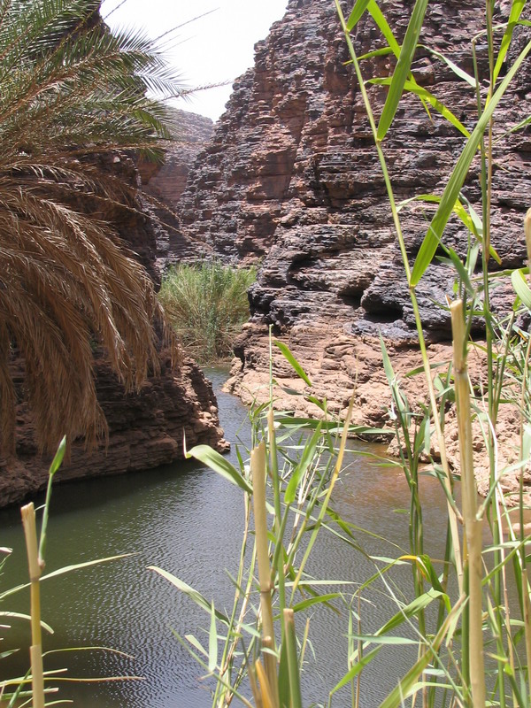 Azogui, Mauritania