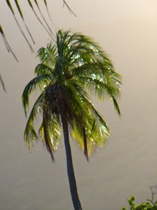 Polinesia - Nuku Hiva