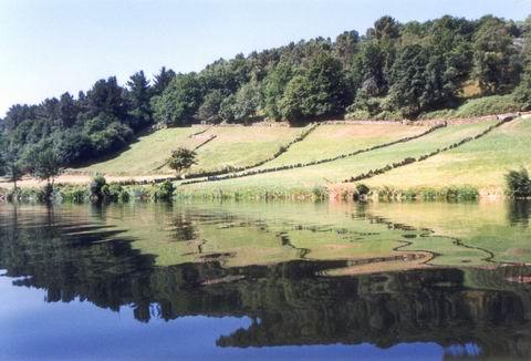 blog-image