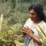 Ecuador - Macas