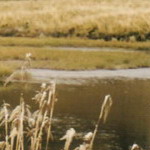 Ecuador - Cuenca - Cajas