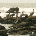 Ecuador - Guayas - Playas