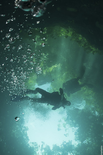 Cenotes - buceando en la haloclina